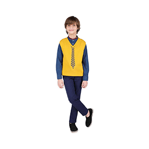 Woven V Neck Casual Baby Boys Yellow Sweater