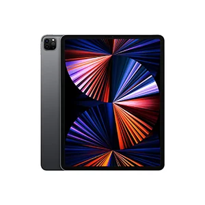 2021 Apple 12.9-inch iPad Pro (Wiâ€Fi, 256GB) - Space Gray